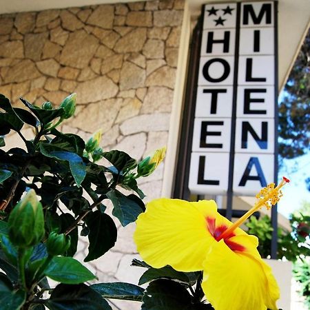 Hotel Milena リミニ エクステリア 写真