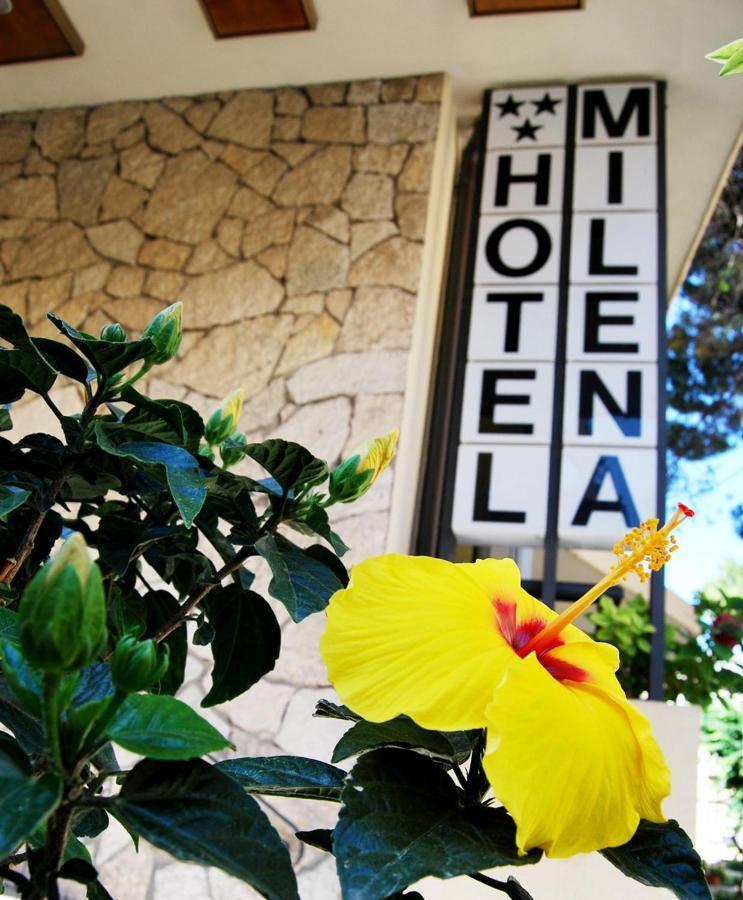 Hotel Milena リミニ エクステリア 写真